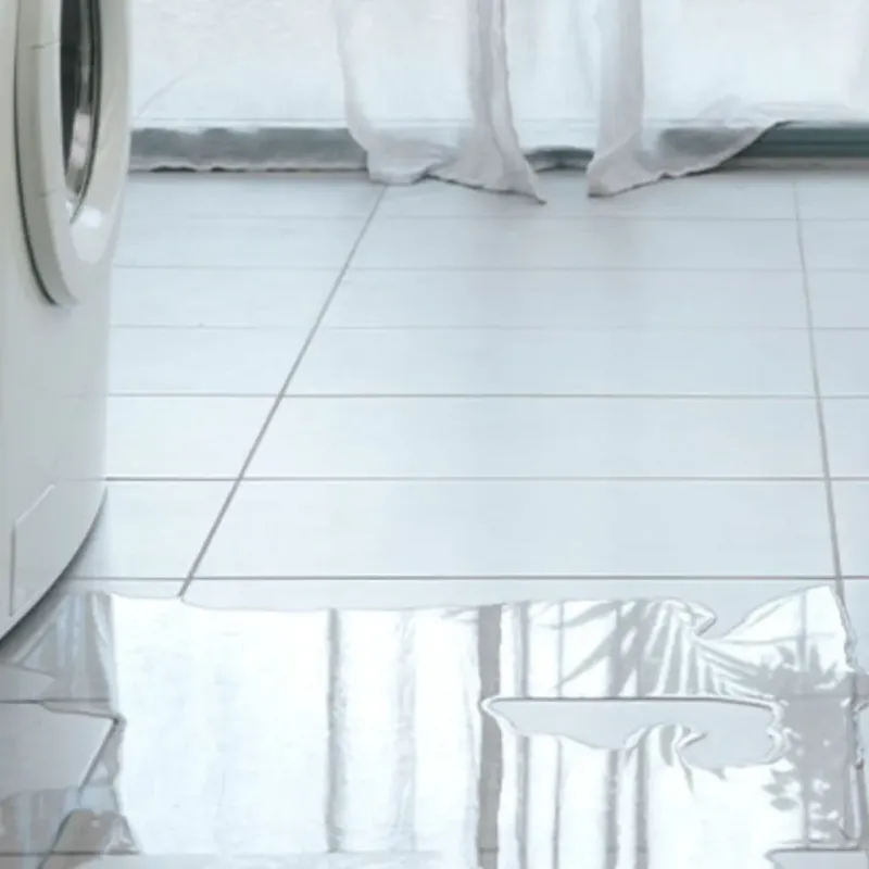 Appliance Leak Cleanup in West Lake Stevens, WA